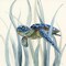 Turtle in Seagrass II Poster Print by Nan - Item # VARPDX17922